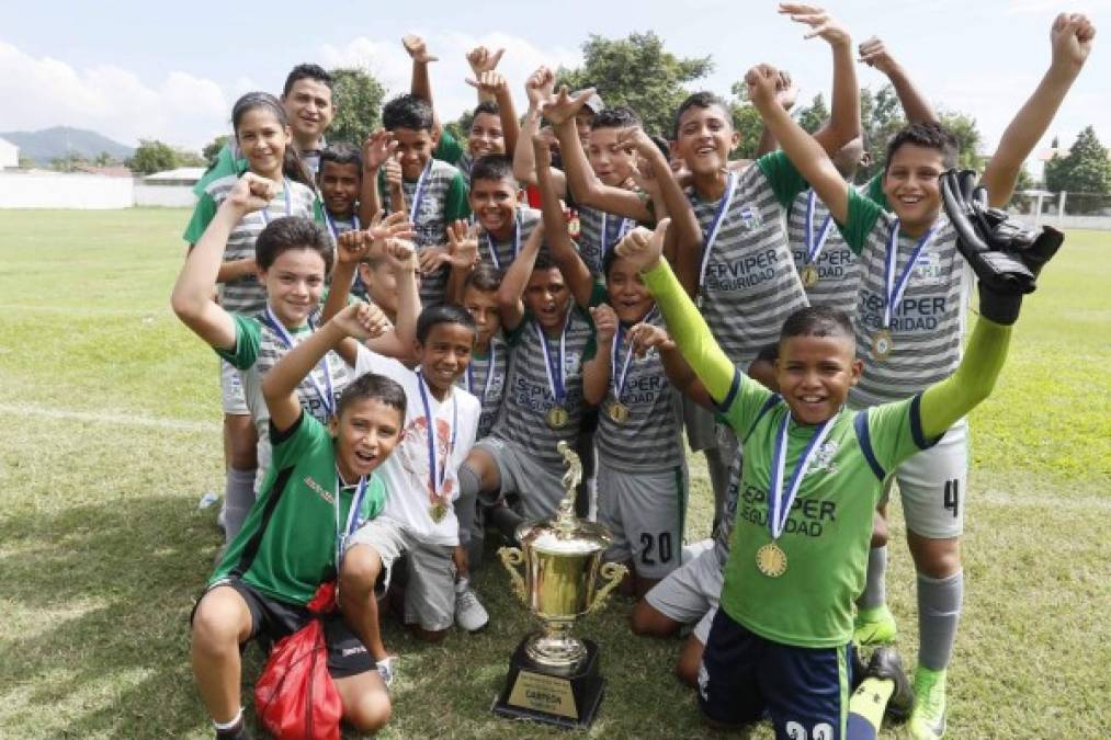 Platense Junior se corona campeón de las Ligas Menores en la categoría U12