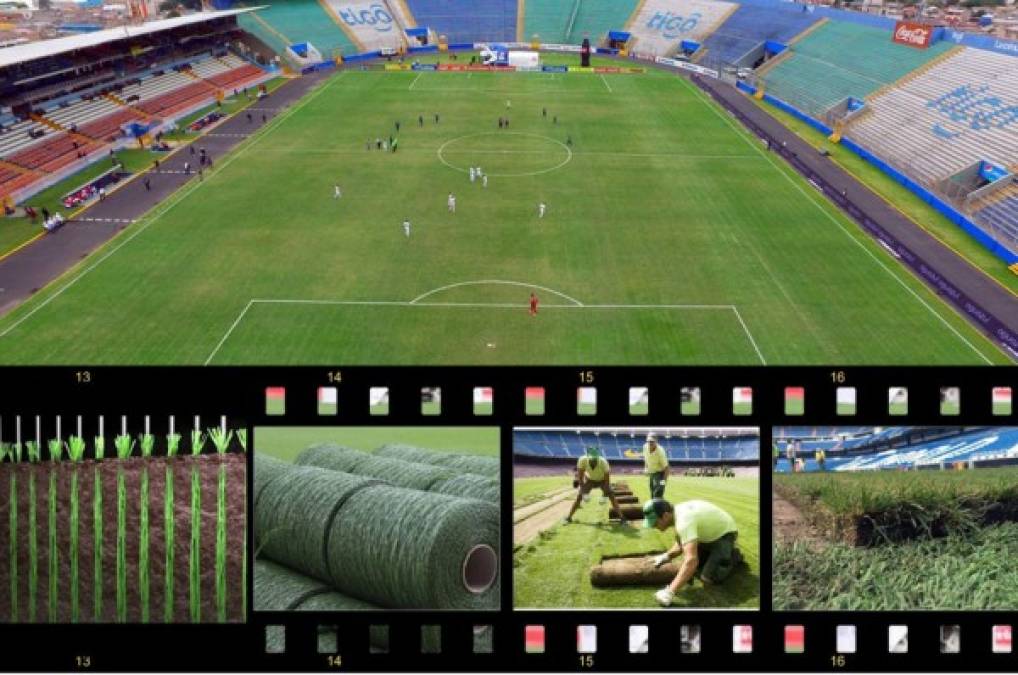 Realizan estudios para instalar grama híbrida en el estadio Nacional de Tegucigalpa