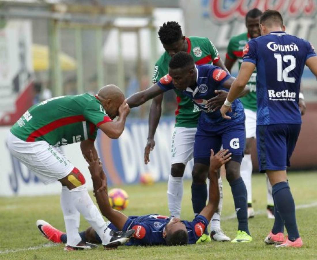 ¡Curiosas! El tacuazín que invadió la cancha y las 'garras' de Rubilio Castillo