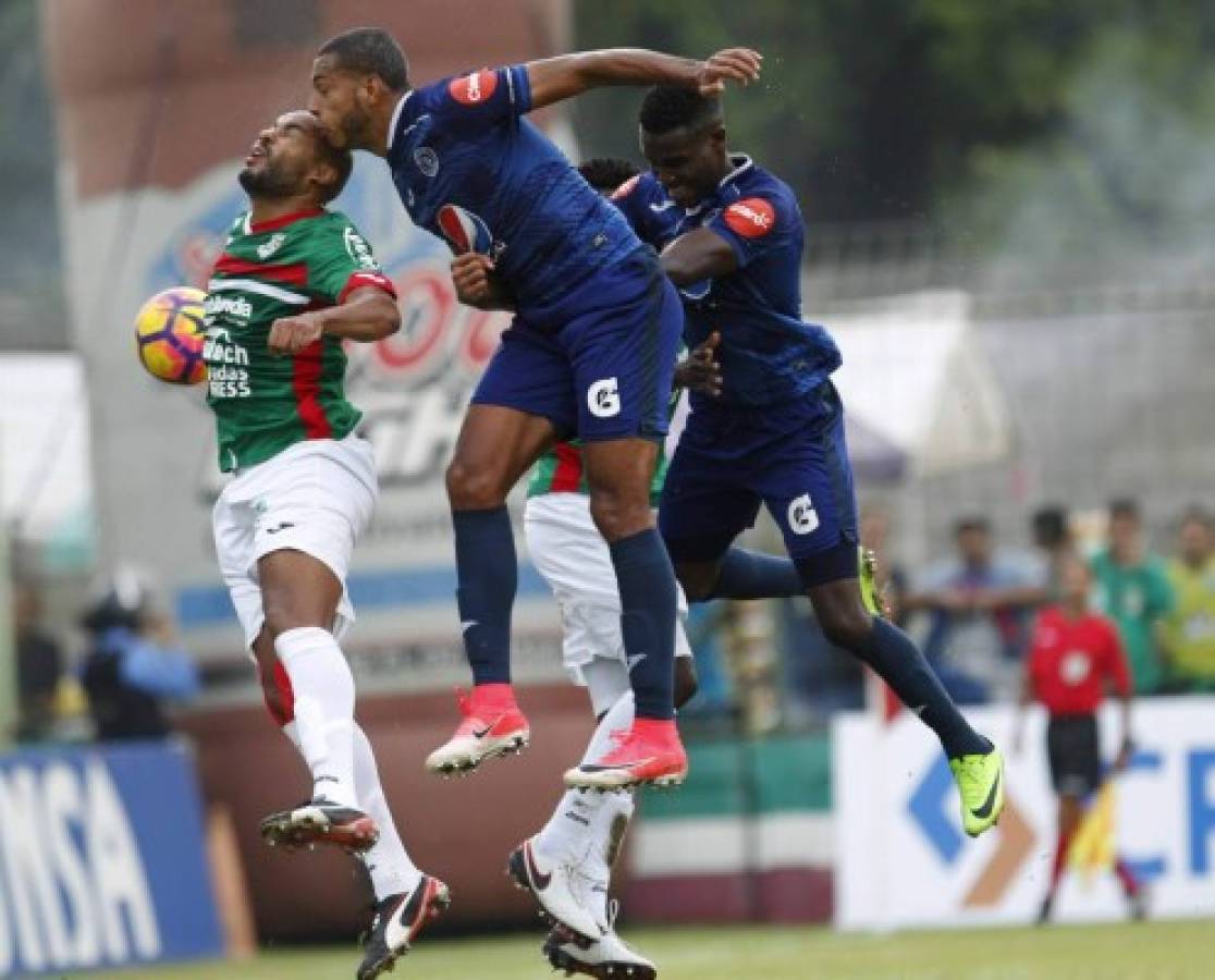 ¡Curiosas! El tacuazín que invadió la cancha y las 'garras' de Rubilio Castillo