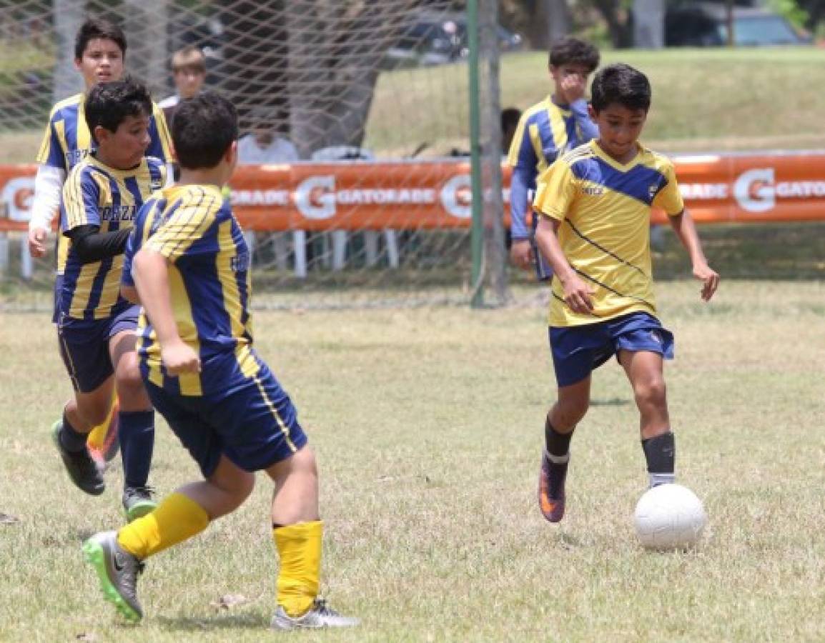 Pequeños derrocharon talento en el Soccer Festival en La Lima