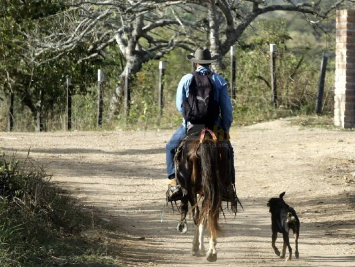 Donis Escober, ganadero: de sombrero y buen jinete; cambió la pelota por el ordeño de vacas