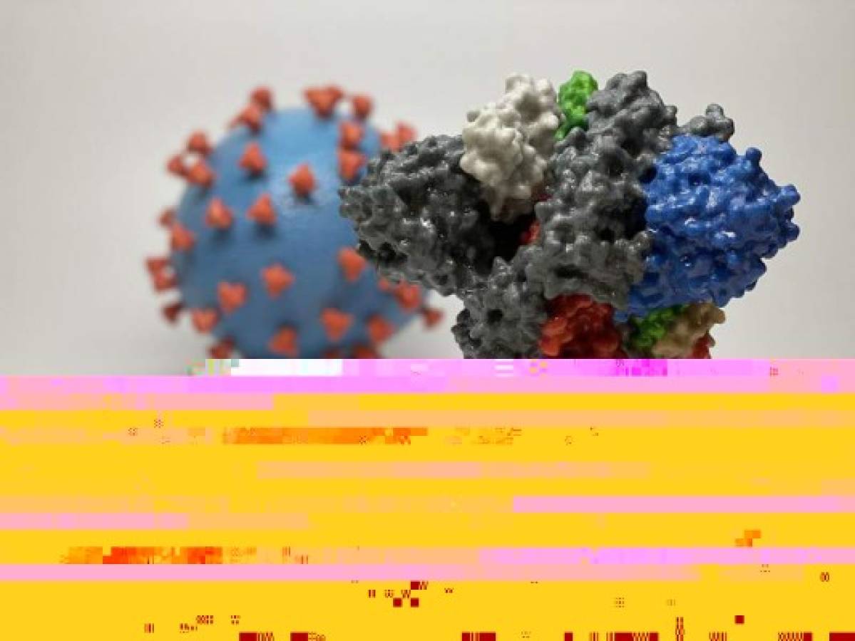 (FILES) In this file photo obtained on March 16, 2020 courtesy of The National Institutes of Health(NIH)/NIAD-RML, shows a 3D print of a spike protein of SARS-CoV-2—also known as 2019-nCoV, the virus that causes COVID-19—in front of a 3D print of a SARS-CoV-2 virus particle. - It is not yet certain whether the new coronavirus variant discovered in Britain is more contagious, but the US is conducting studies to learn more, a top official said on December 21, 2020. (Photo by Handout / National Institutes of Health / AFP) / RESTRICTED TO EDITORIAL USE - MANDATORY CREDIT 'AFP PHOTO /NATIONAL INSTITUTES OF HEALTH/NIAD-RML/HANDOUT ' - NO MARKETING - NO ADVERTISING CAMPAIGNS - DISTRIBUTED AS A SERVICE TO CLIENTS