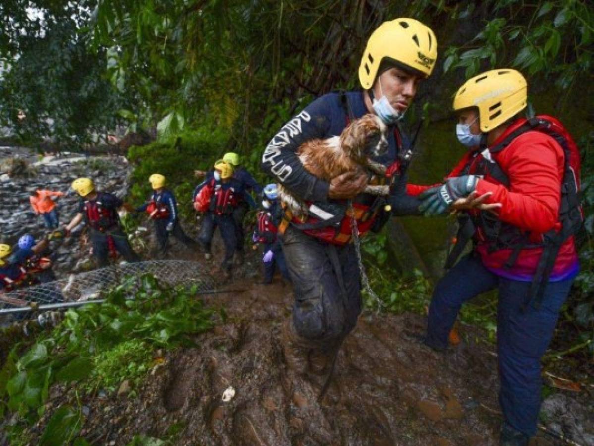 Sorprendentes fotos: Hondureños no abandonan a sus animales durante el desastre provocado por Eta