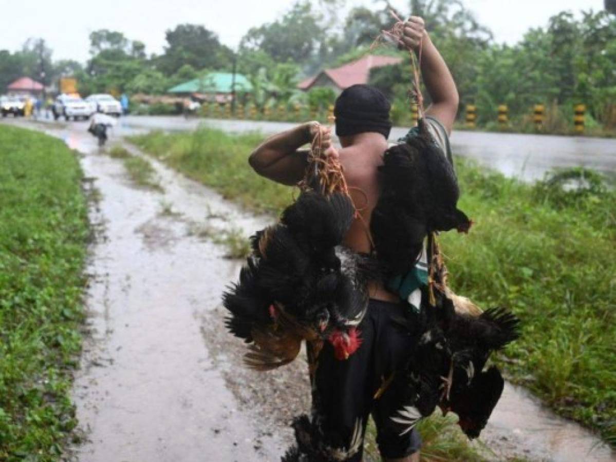 Sorprendentes fotos: Hondureños no abandonan a sus animales durante el desastre provocado por Eta