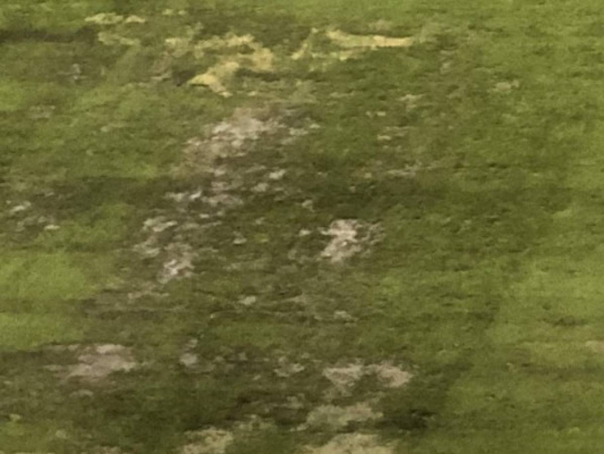 EN FOTOS: Así de pésima luce la cancha del estadio Azteca