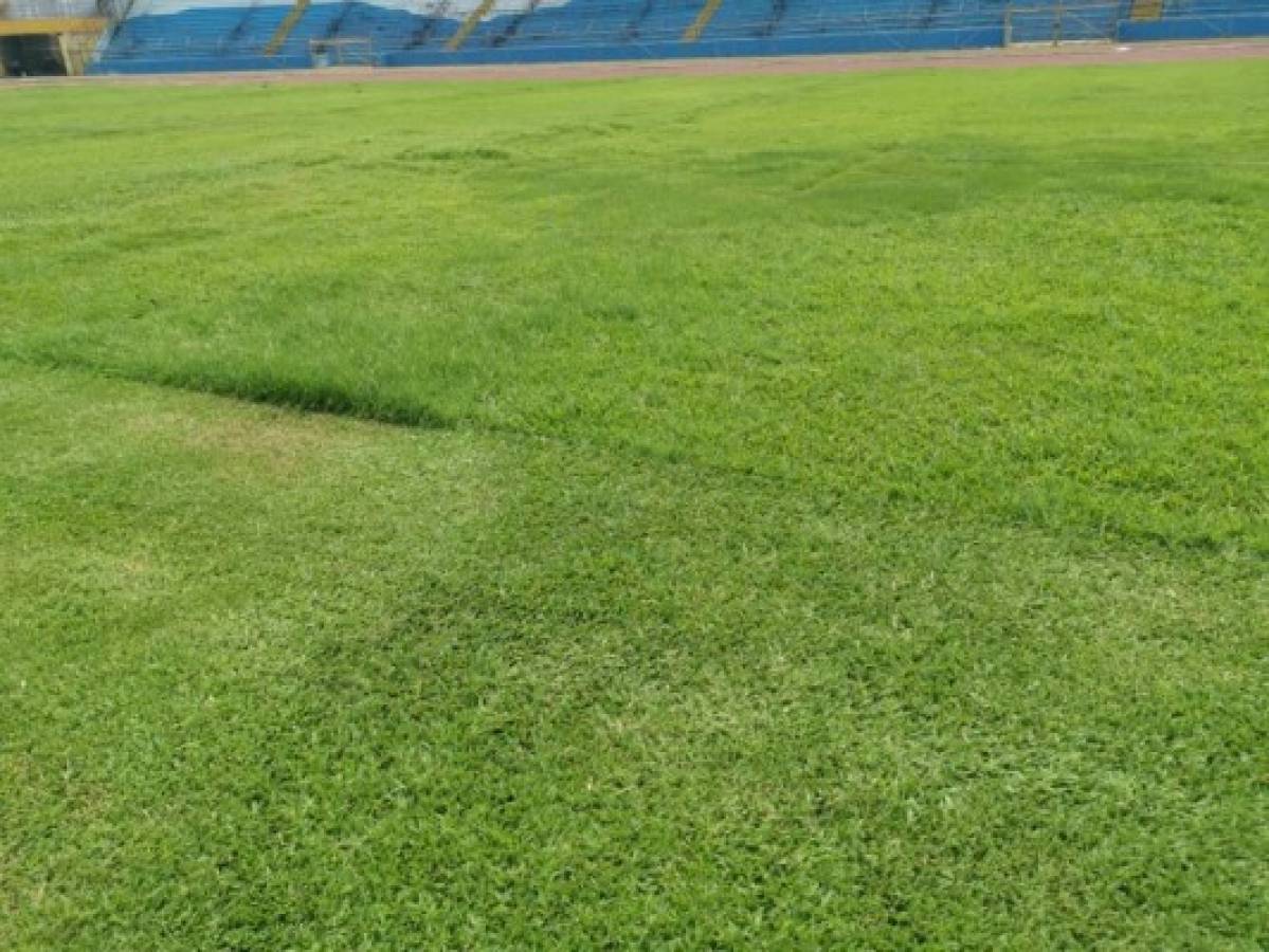 ¡El césped más verde! Así lucen los estadios de Honduras en esta cuarentena