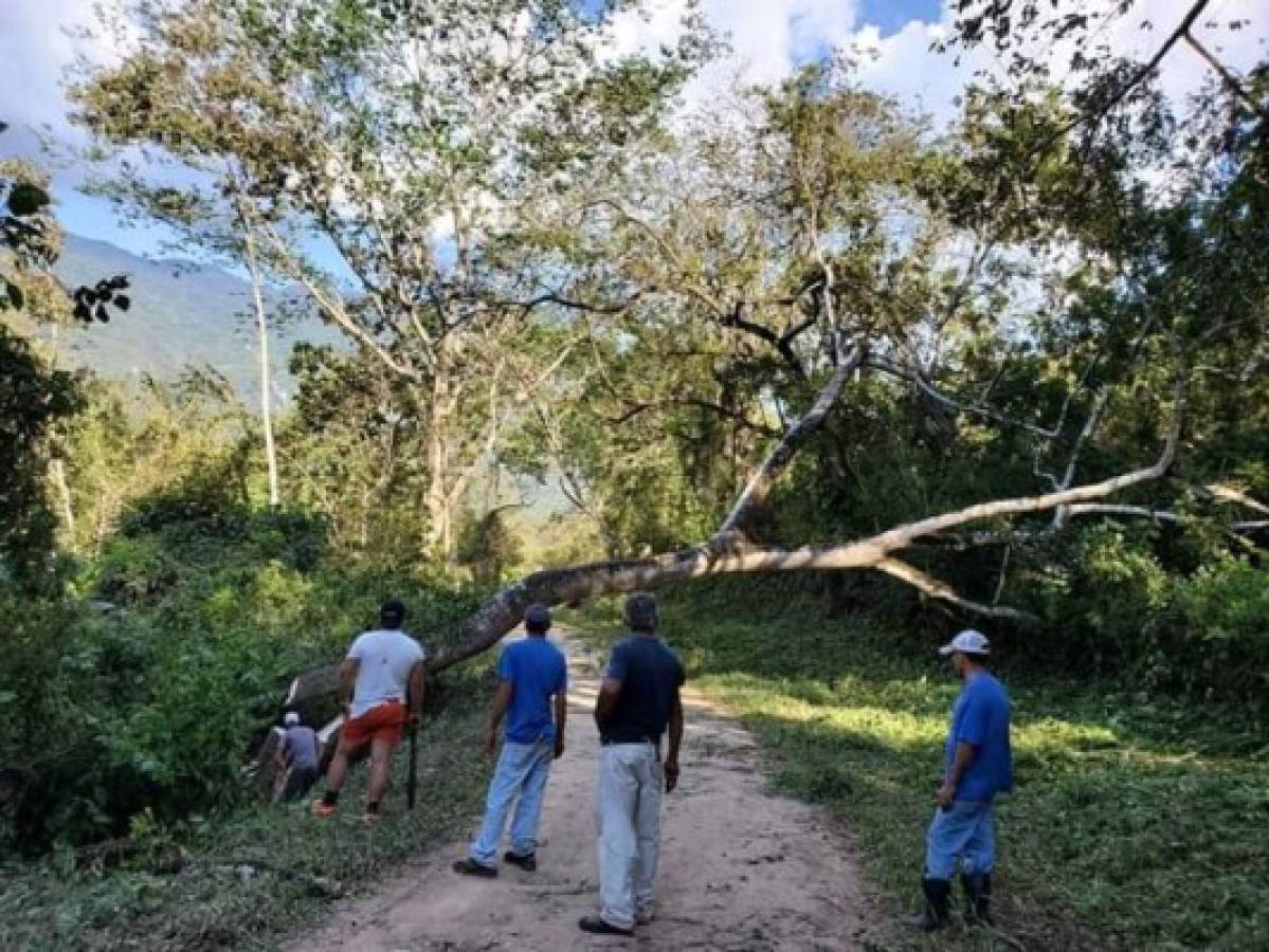 ¡Palos, piedras y tractor! Las medidas de pueblos de Honduras para evitar el coronavirus