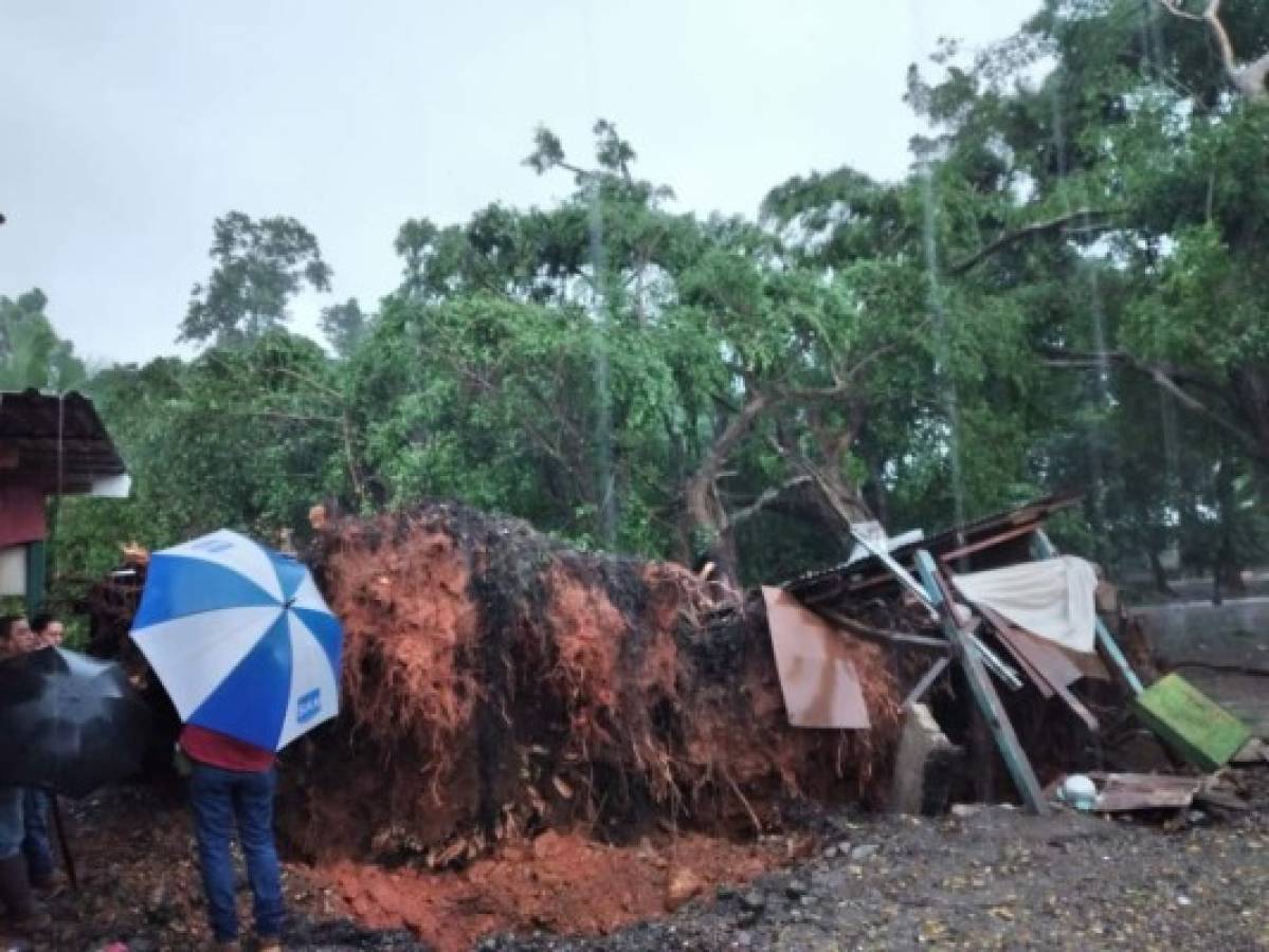 Inundaciones y 40 casas caídas: Las lluvias del huracán Iota ya dejan desastres en Honduras