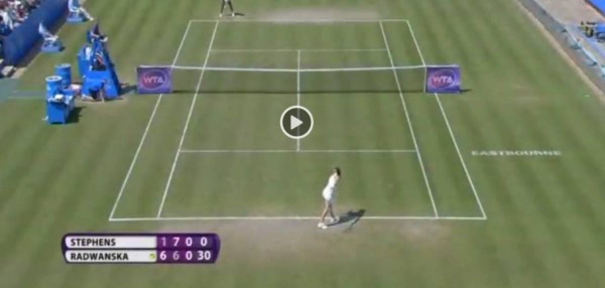 VIDEO: Gaviota impide el saque de tenista Radwanska