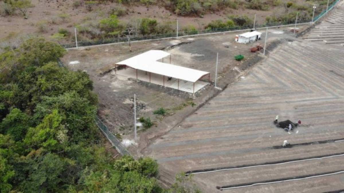 ¡Casi listo! Así lucen las canchas de la Sede del Olimpia previstas para inaugurar en marzo