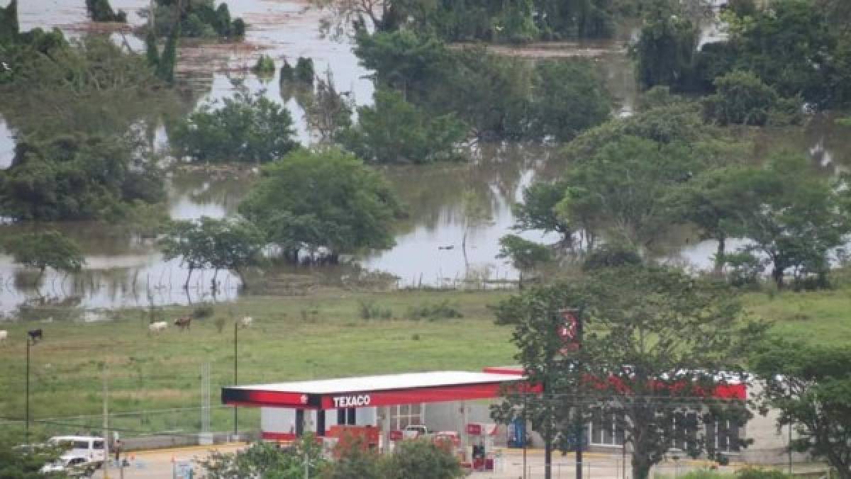 Fotos: Lluvias torrenciales del ciclón Eta resucitaron lagunas desaparecidas en San Pedro Sula