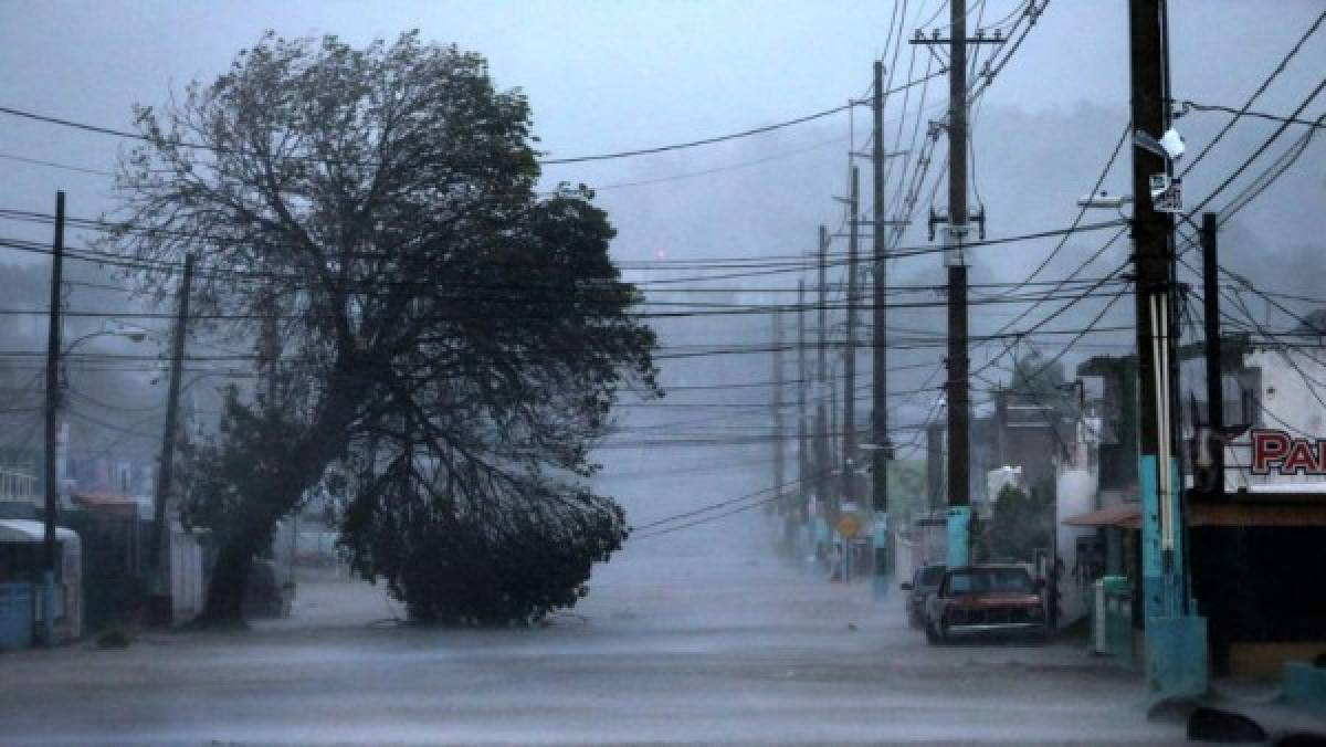 Caos y preocupación en La Florida por llegada del huracán Irma