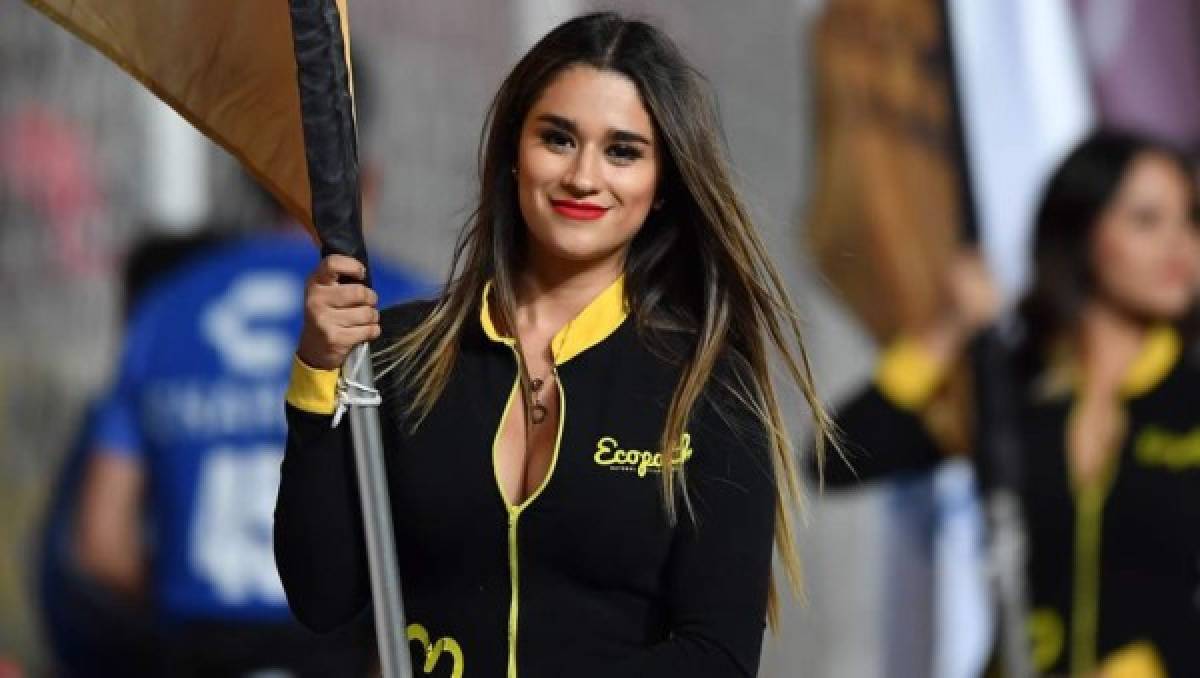 LINDURAS: Las preciosas chicas que adornaron la jornada 13 en la Liga MX