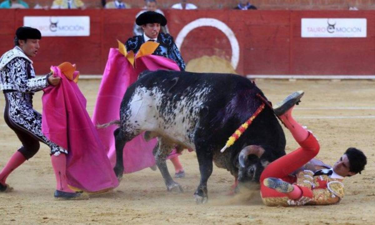 Usuarios de redes sociales se burlan de la muerte de torero Víctor Barrio