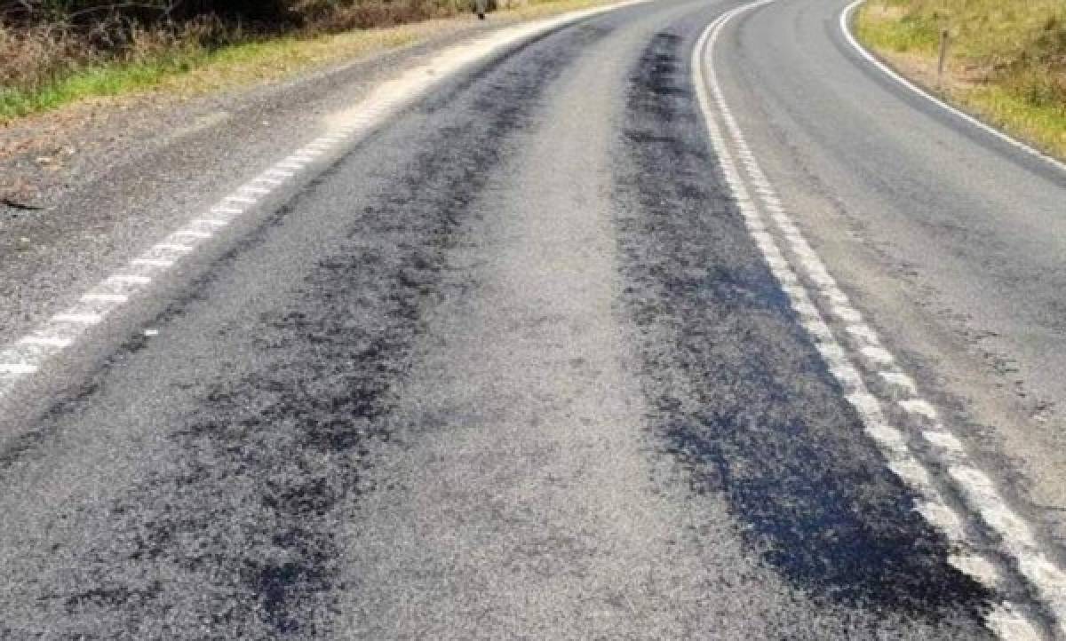 Animales muertos y carreteras derretidas: Las terribles imágenes de la ola de calor en Australia