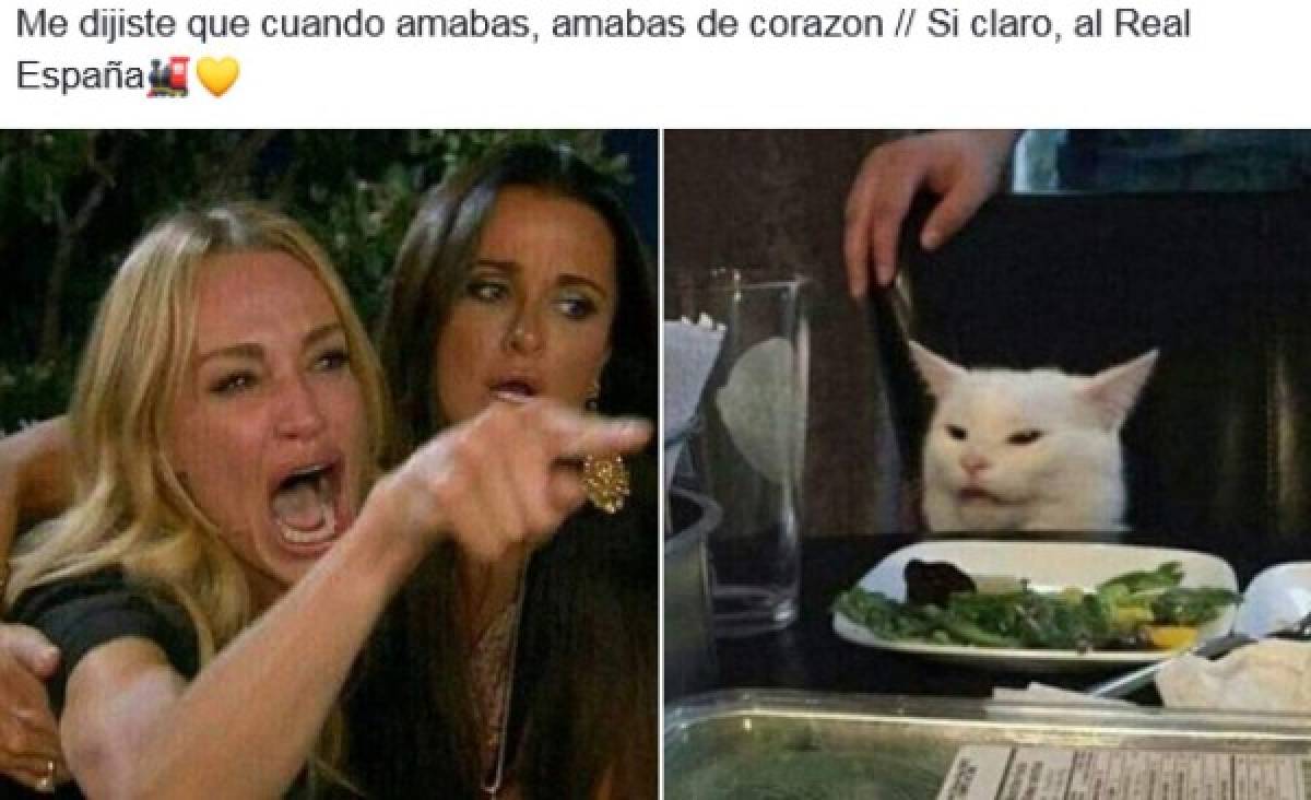 Los mejores memes del gato en la mesa y la mujer gritando, los equipos de Honduras no se salvan