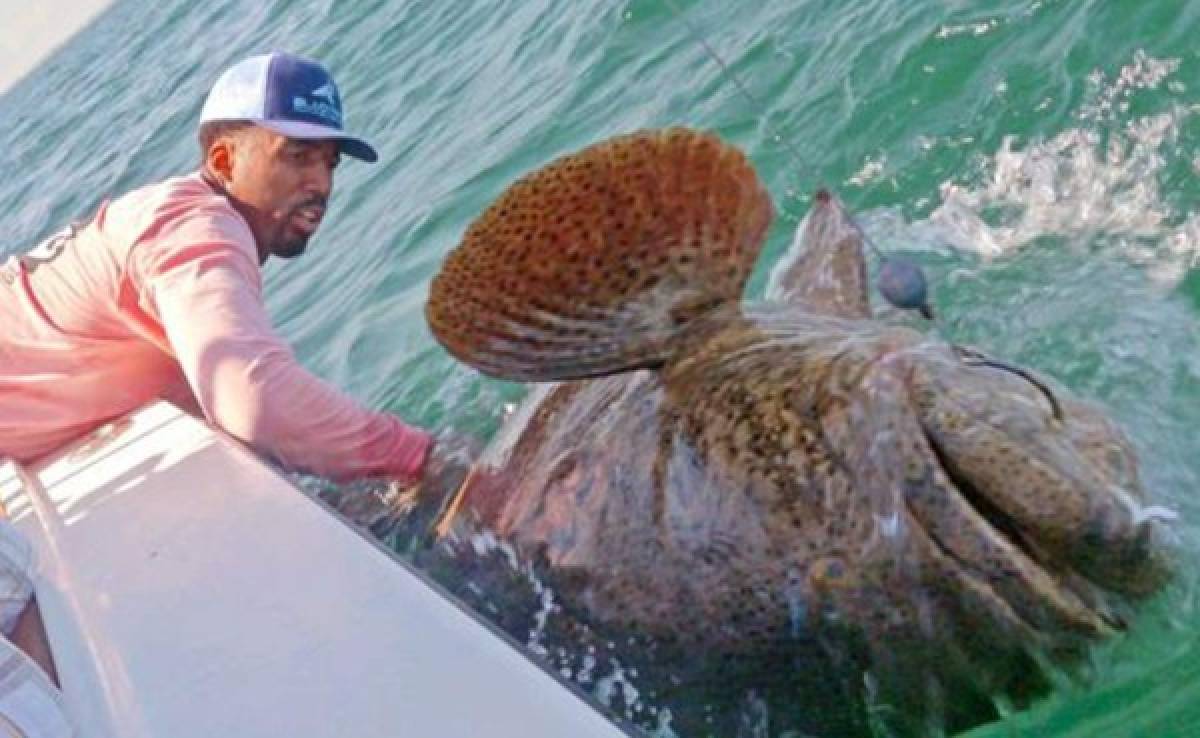 Wilson Chandler se va de pesca y captura bestia de más de 300 libras
