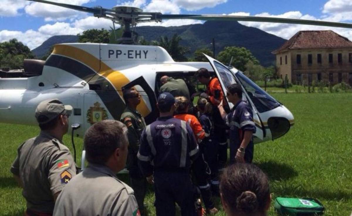 Al menos dos montañistas mueren en el sur de Brasil por ataque de abejas