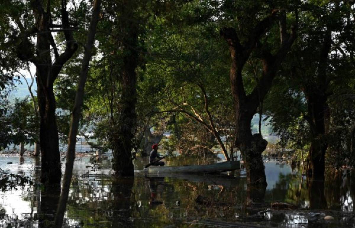 Fotos: Lluvias torrenciales del ciclón Eta resucitaron lagunas desaparecidas en San Pedro Sula