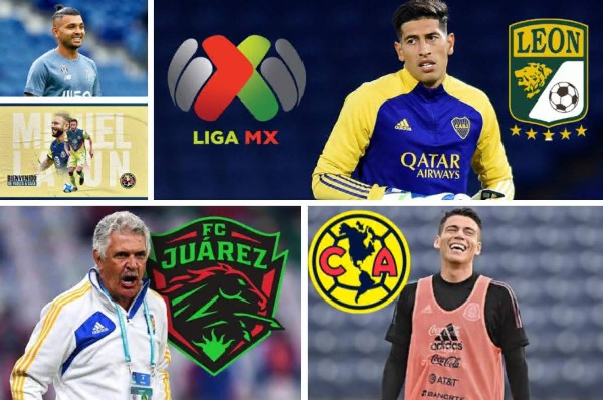 Mercado Liga MX: Tuca Ferreti tiene nuevo equipo, bombazo por el Chucky Lozano y América hace dos fichajes  