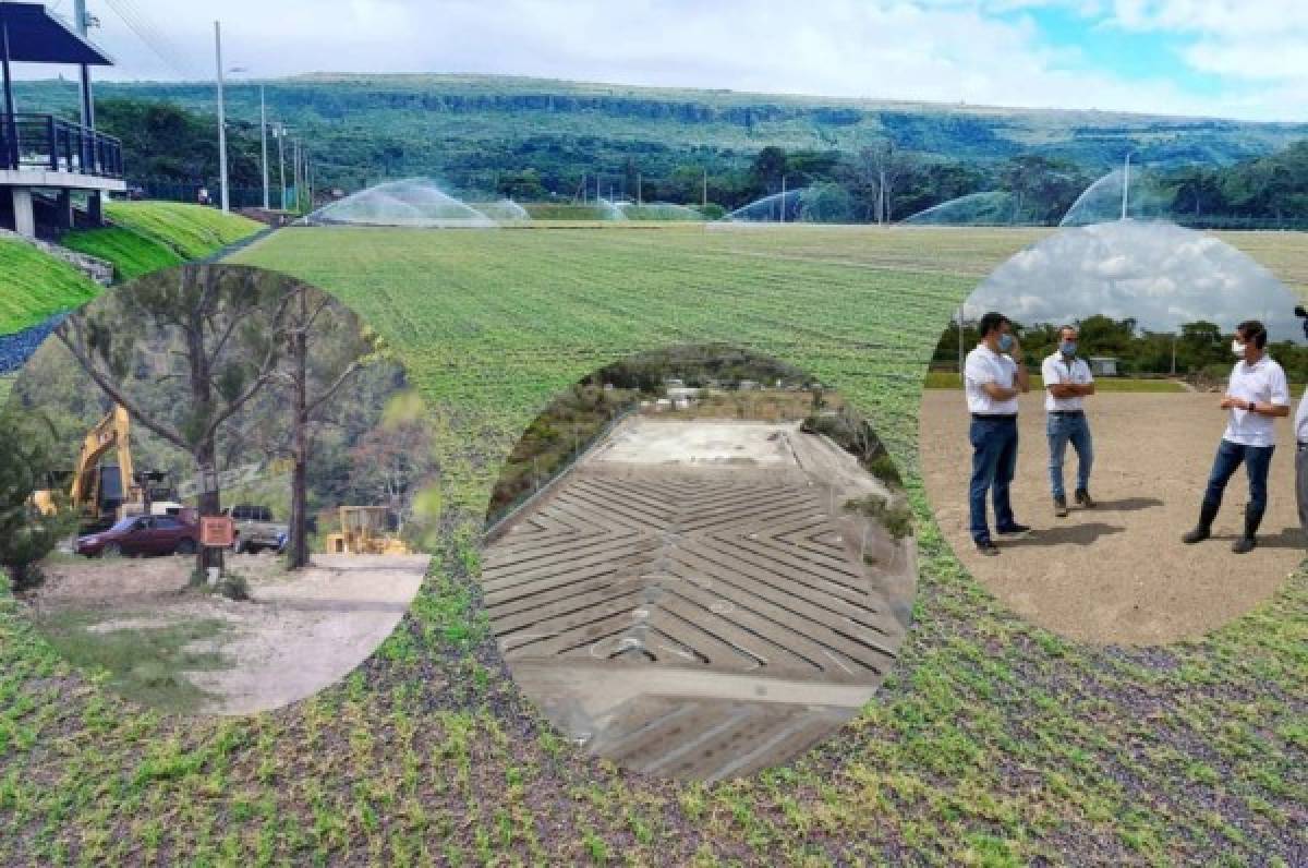 ¡Casi listo! Así lucen las canchas de la Sede del Olimpia previstas para inaugurar en marzo