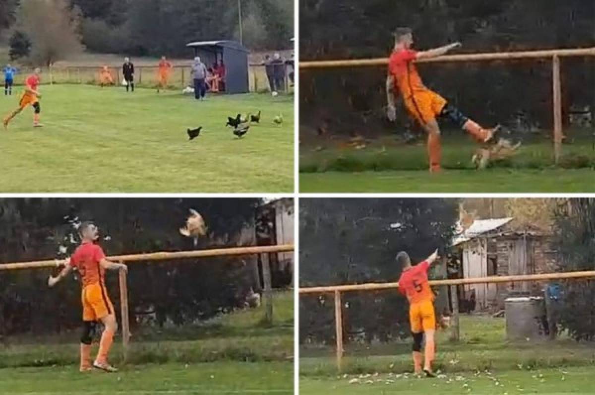 Escándalo: Futbolista croata fue expulsado por matar a una gallina en pleno partido