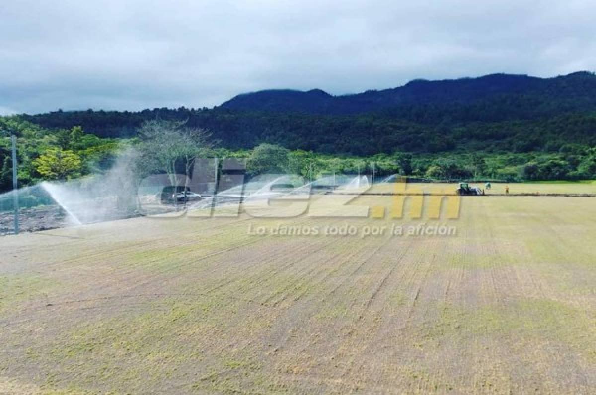 ¡Casi listo! Así lucen las canchas de la Sede del Olimpia previstas para inaugurar en marzo