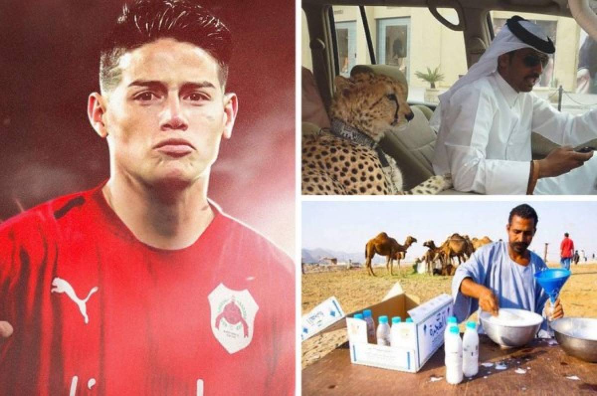 Fieras como mascotas, nueva leche y sin licor: la nueva vida y raras costumbres del país árabe donde jugará James Rodríguez  