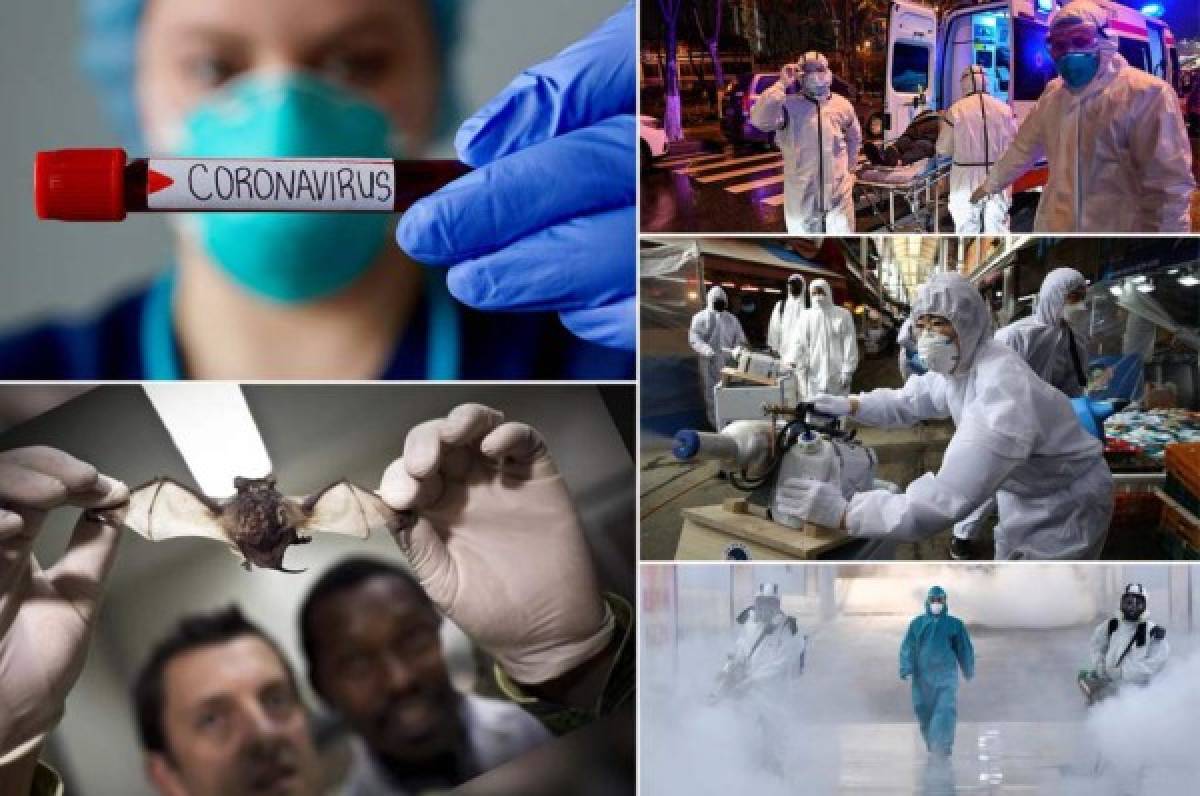 ¿La pandemia del coronavirus fue creada intencionalmente en un laboratorio?