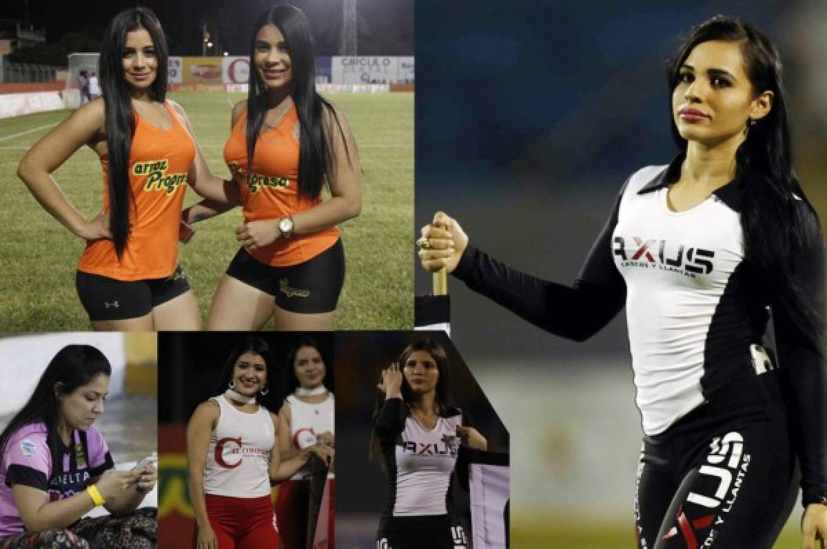 ¡PRECIOSAS! Las bellas chicas que adornaron la jornada seis de la Liga Nacional