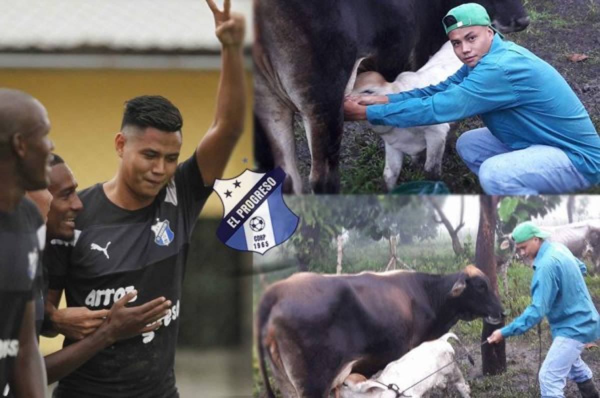 Nixon Duarte, jugador que pasa las fiestas navideñas ordeñando vacas