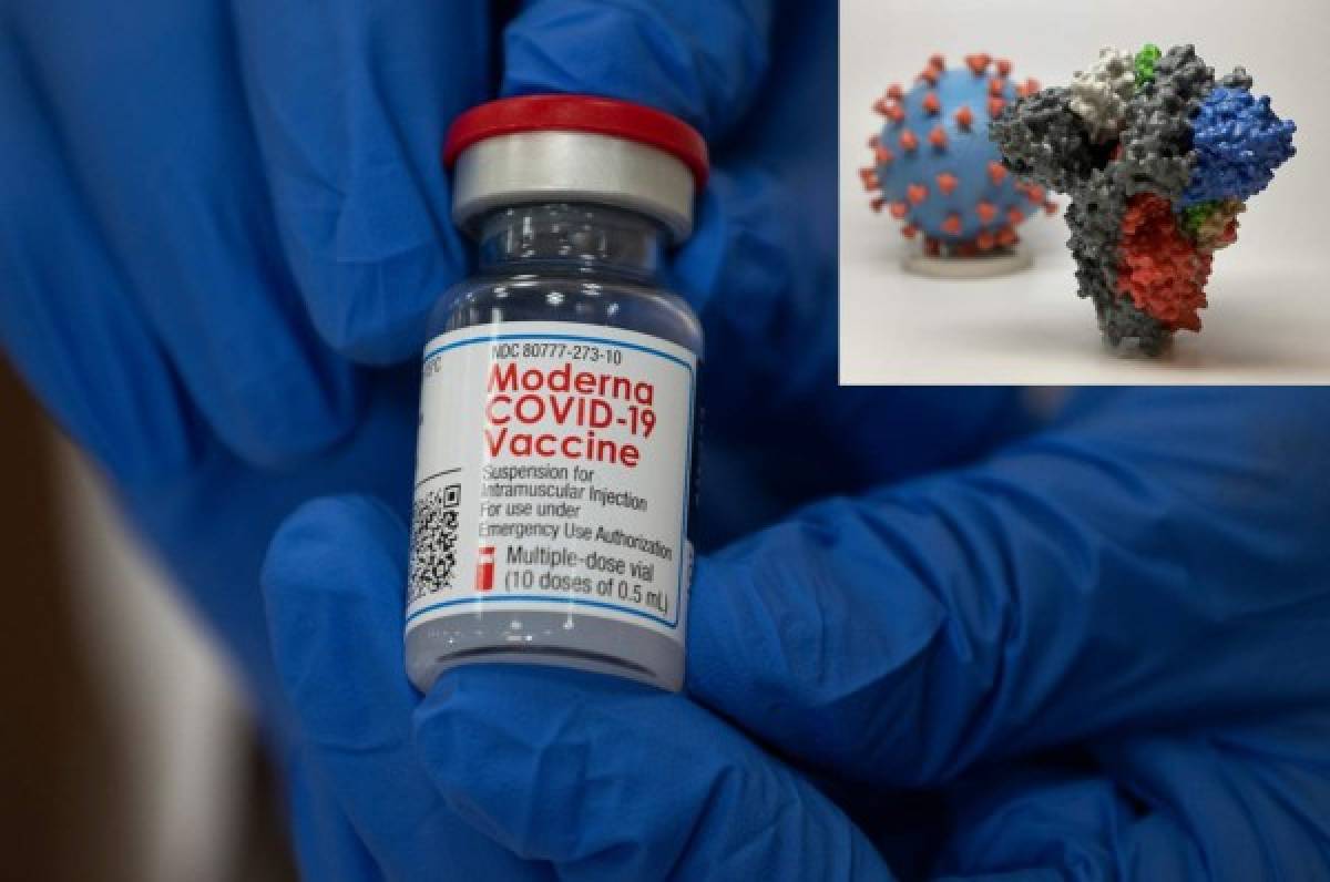 ¿Qué se sabe de la nueva cepa de coronavirus que apareció en Reino Unido y que puso alerta al mundo?