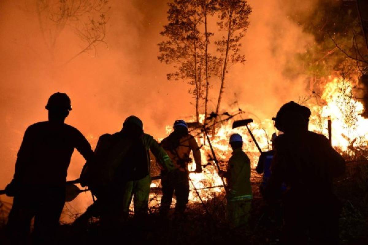 ¡Impactante! Incontrolable incendio destruye decenas de hectáreas de pino en El Hatillo