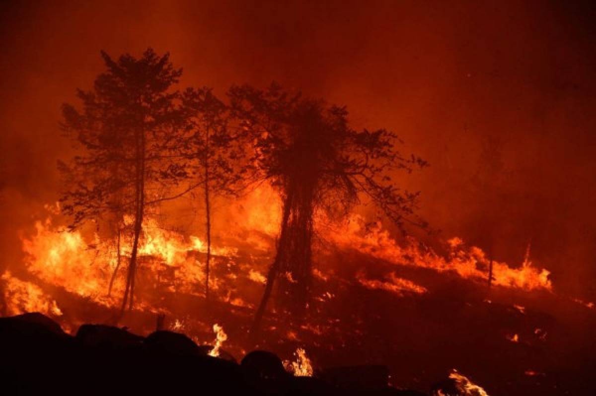 ¡Impactante! Incontrolable incendio destruye decenas de hectáreas de pino en El Hatillo