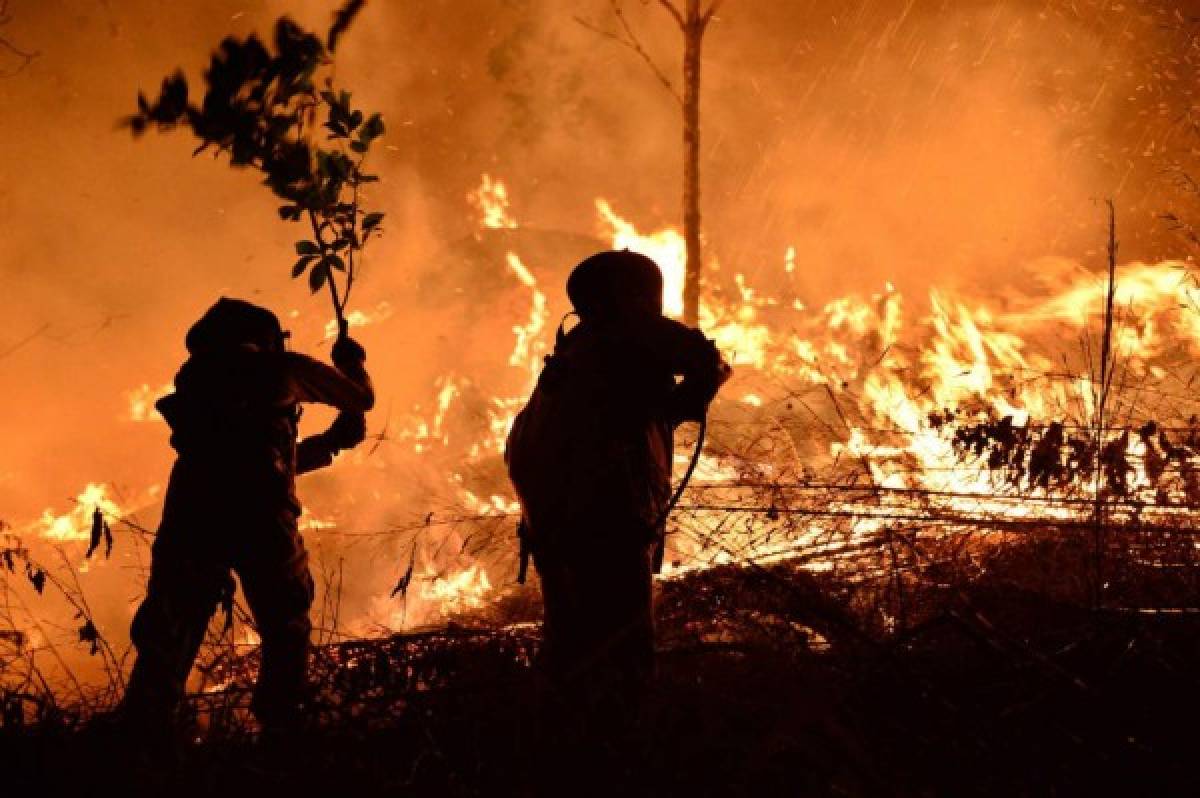 ¡Impactante! Incontrolable incendio destruye decenas de hectáreas de pino en El Hatillo