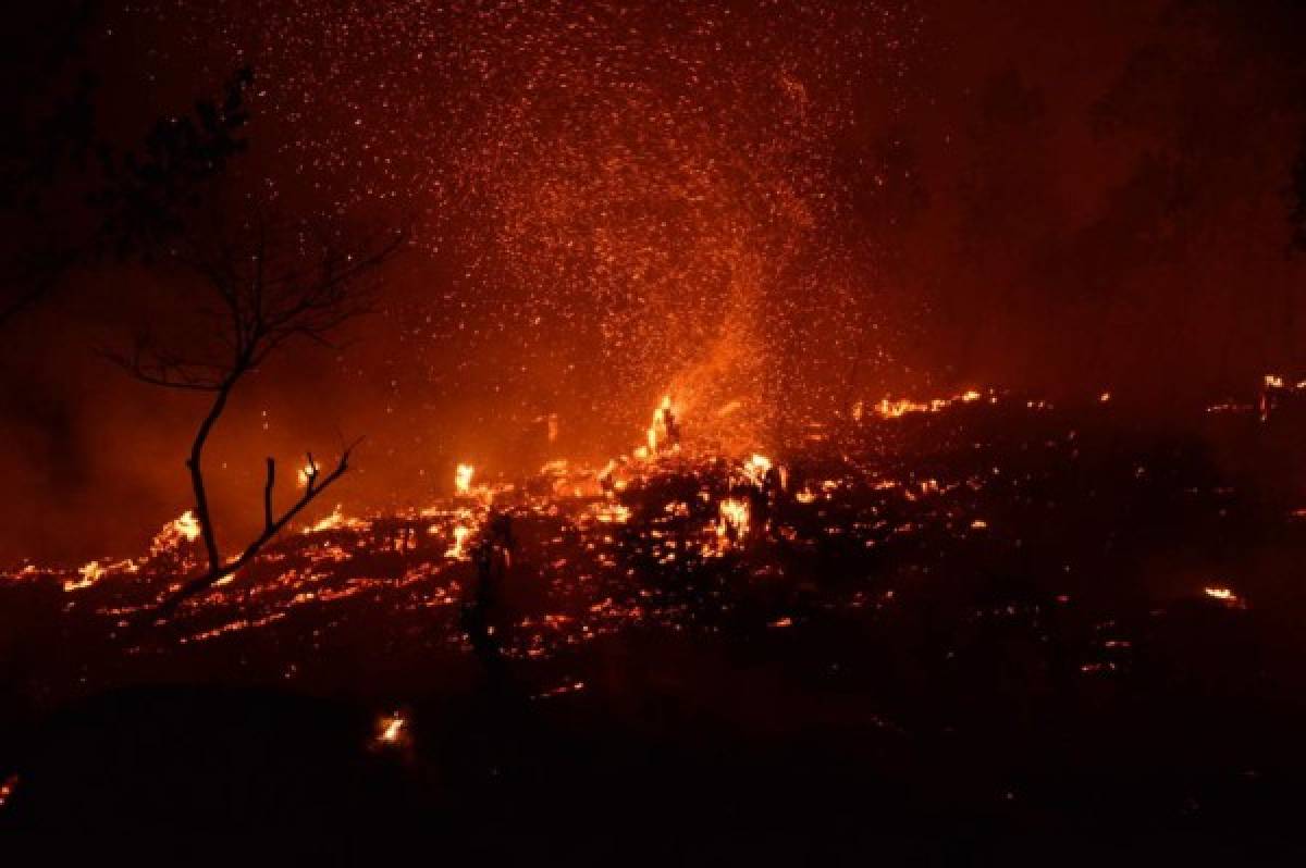 ¡Impactante! Incontrolable incendio destruye decenas de hectáreas de pino en El Hatillo