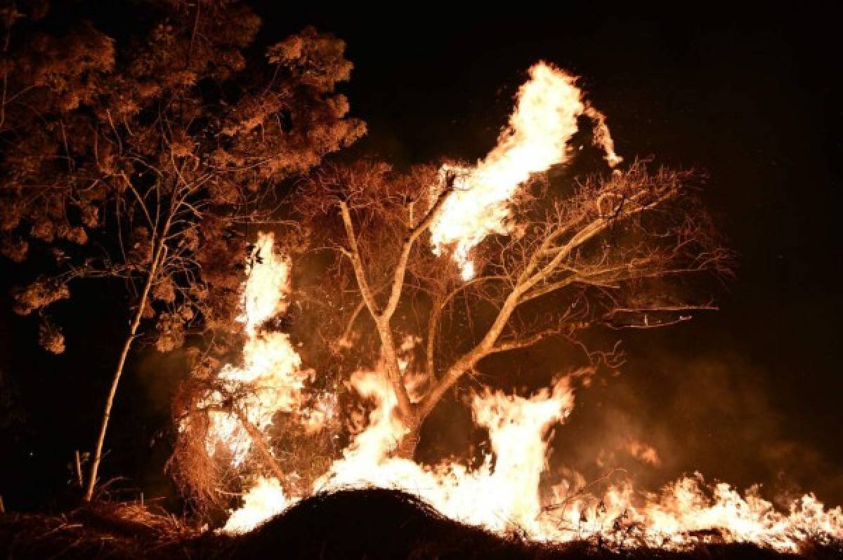 ¡Impactante! Incontrolable incendio destruye decenas de hectáreas de pino en El Hatillo