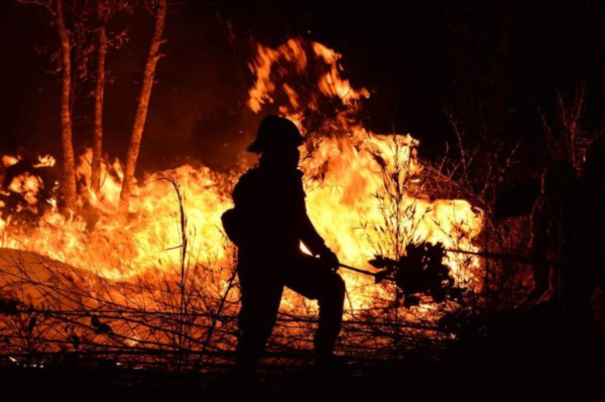 ¡Impactante! Incontrolable incendio destruye decenas de hectáreas de pino en El Hatillo