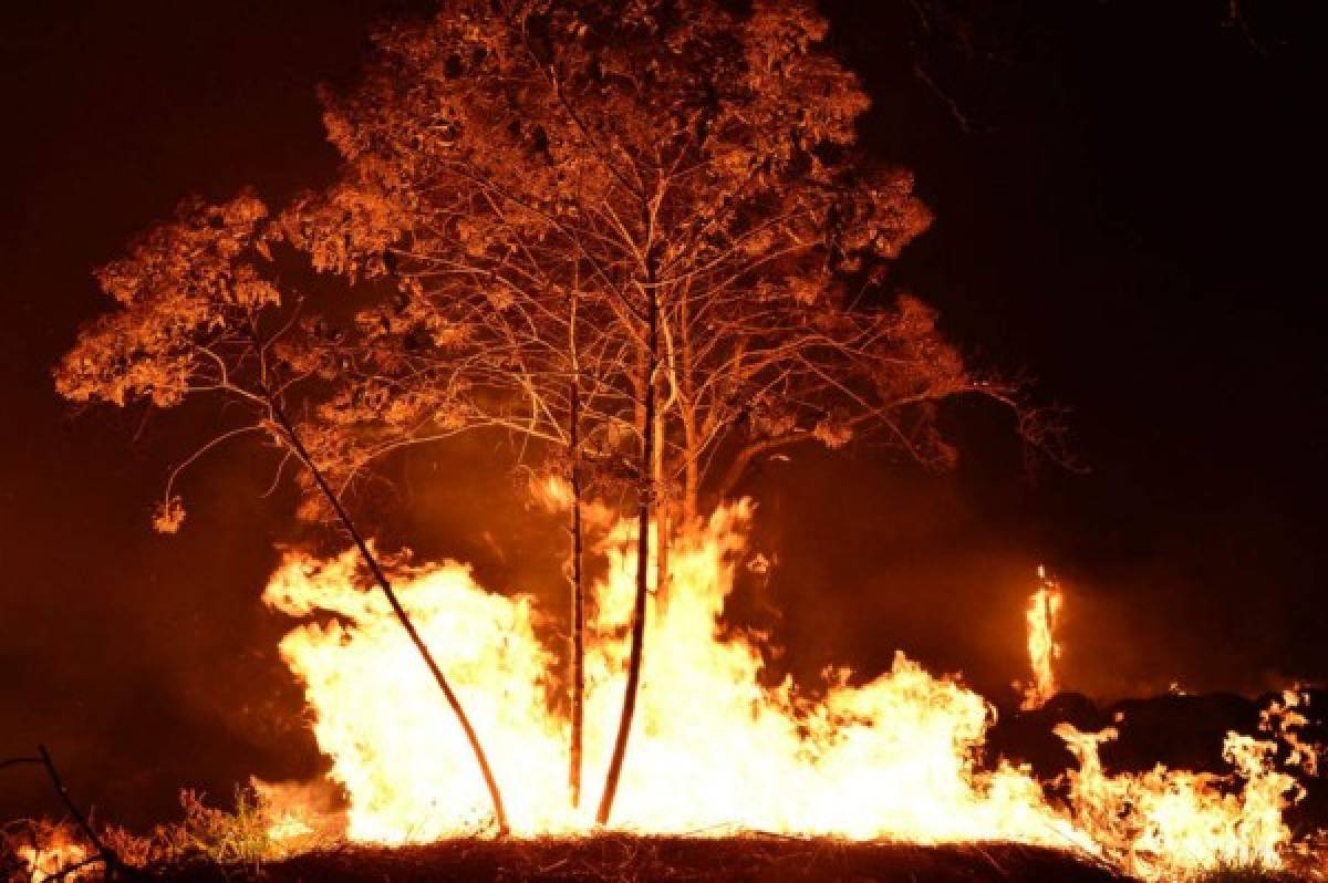 ¡Impactante! Incontrolable incendio destruye decenas de hectáreas de pino en El Hatillo