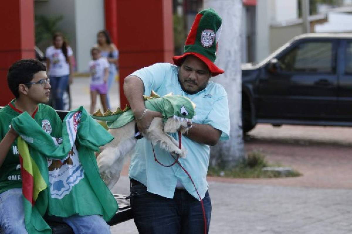 ¡Locura y hermosura! San Pedro Sula sigue celebrando la novena copa del Marathón