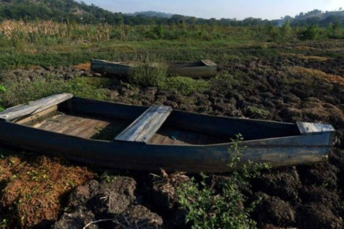 Fotos: Lluvias torrenciales del ciclón Eta resucitaron lagunas desaparecidas en San Pedro Sula