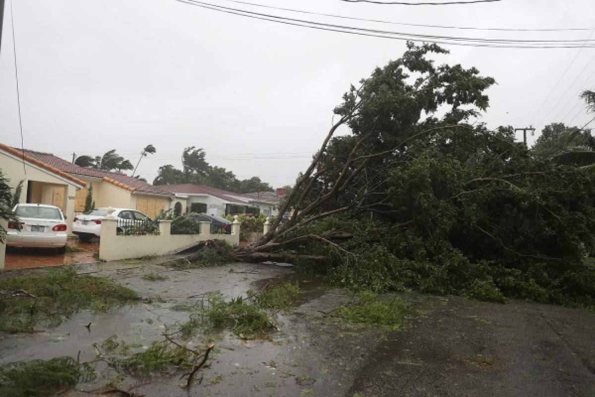 INFORME ESPECIAL: Huracán Irma comienza a destrozar el estado de Florida