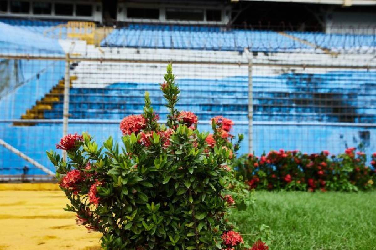 Portland Timbers exhibe la peor cara de un descuidado estadio Olímpico en 11 fotos