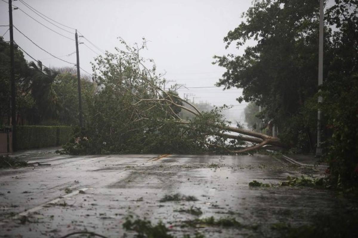 INFORME ESPECIAL: Huracán Irma comienza a destrozar el estado de Florida