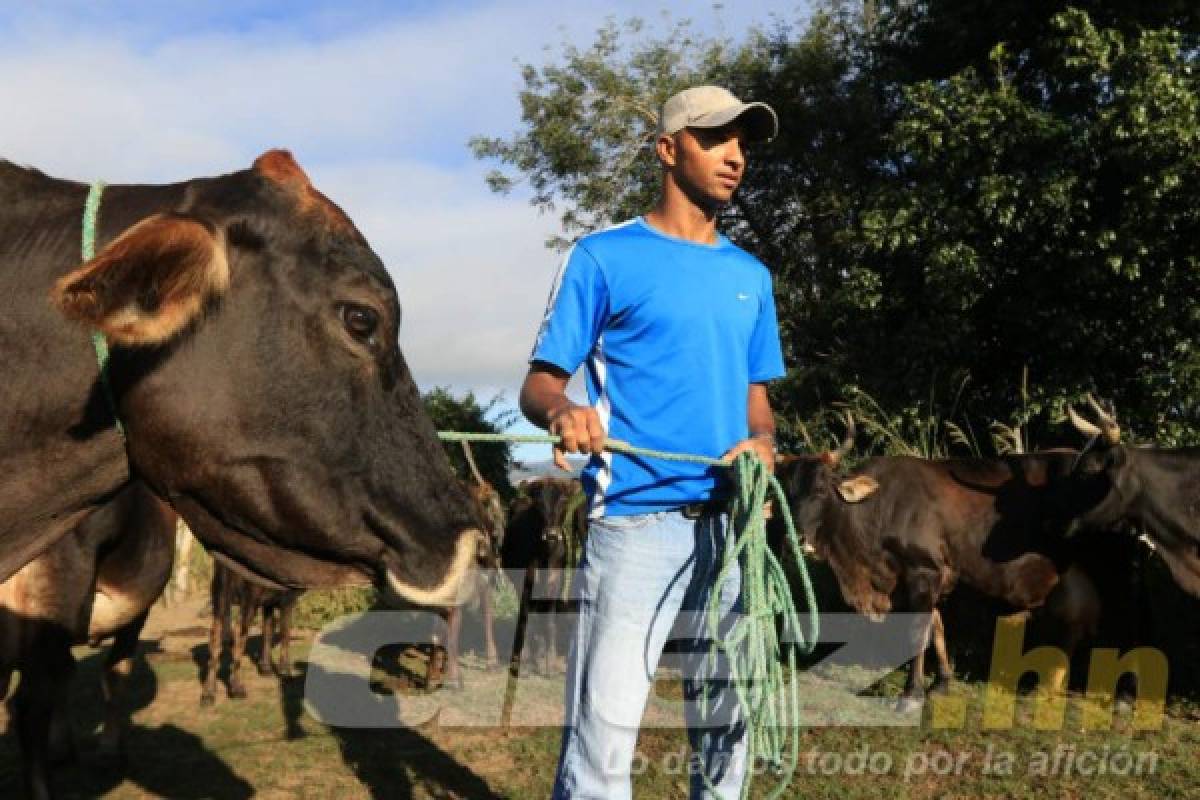 Así es la vida del portero Donis Escober entre ganado en su pueblo natal