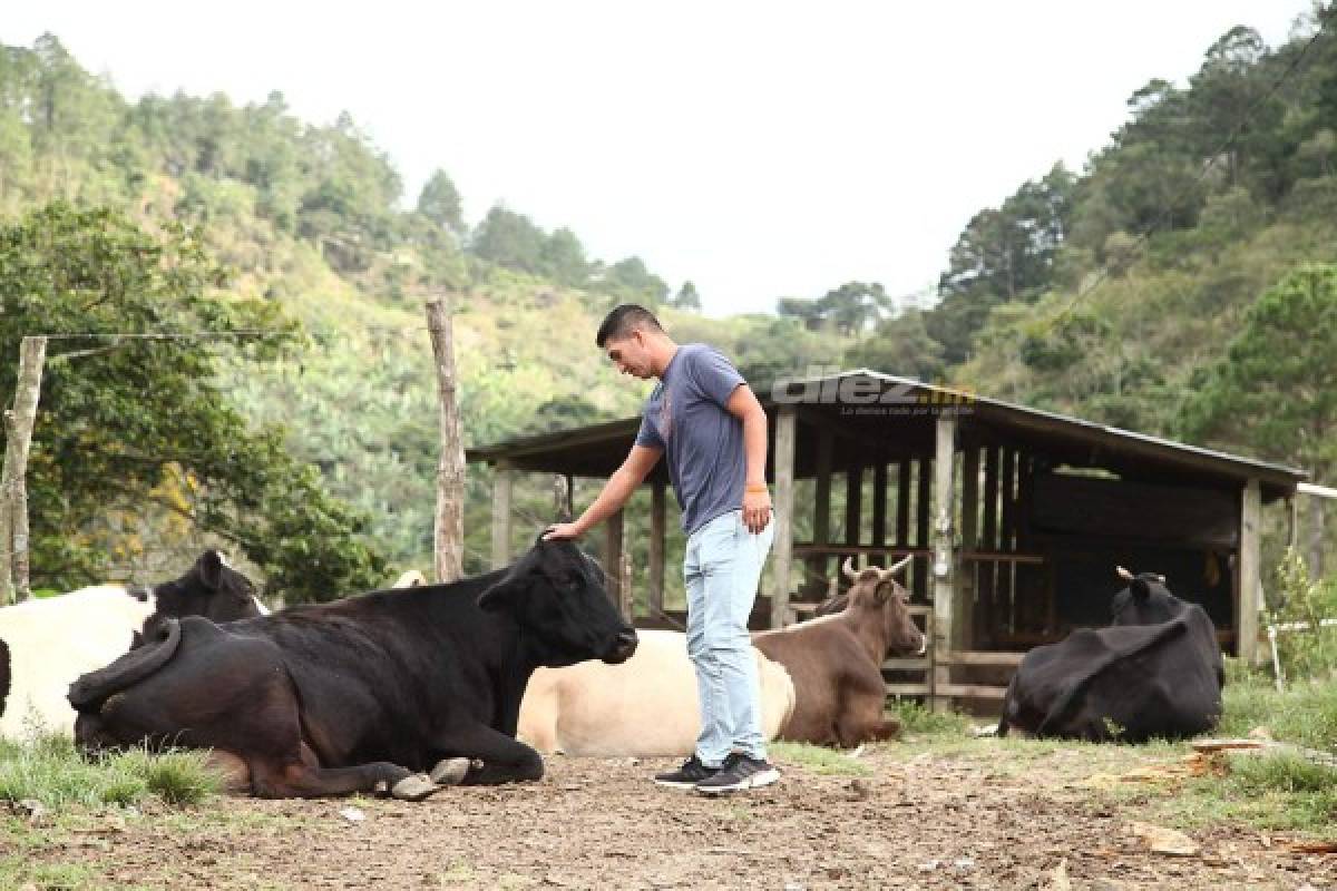 Entre repuestos, café y vacas, Irvin Reyna se olvida del fútbol en Siguatepeque