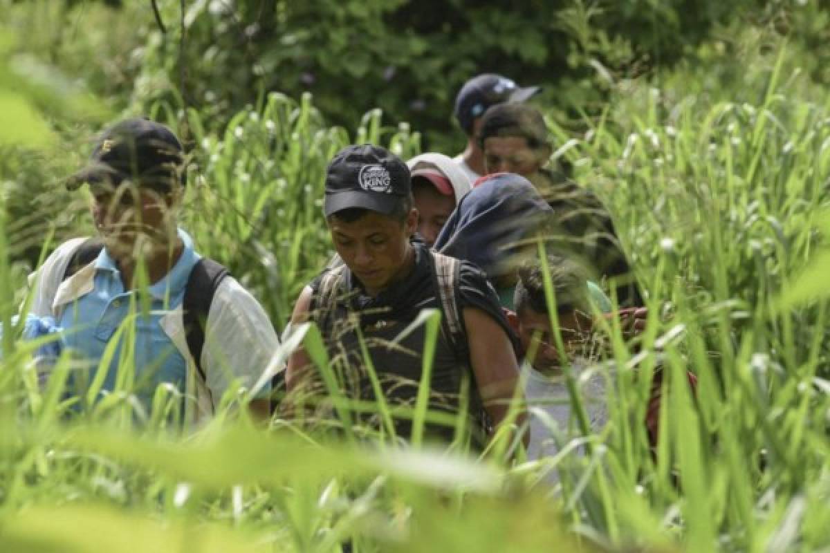 FOTOS: Sufrimiento y cansancio, así va la caravana de migrantes de hondureños