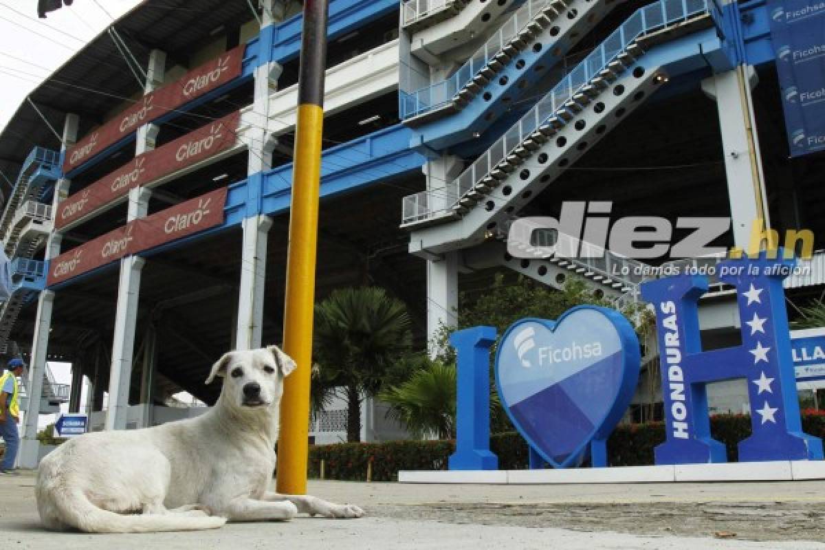 ¡QUÉ BELLEZA! Así pulen el estadio Olímpico para juego de Honduras ante Australia