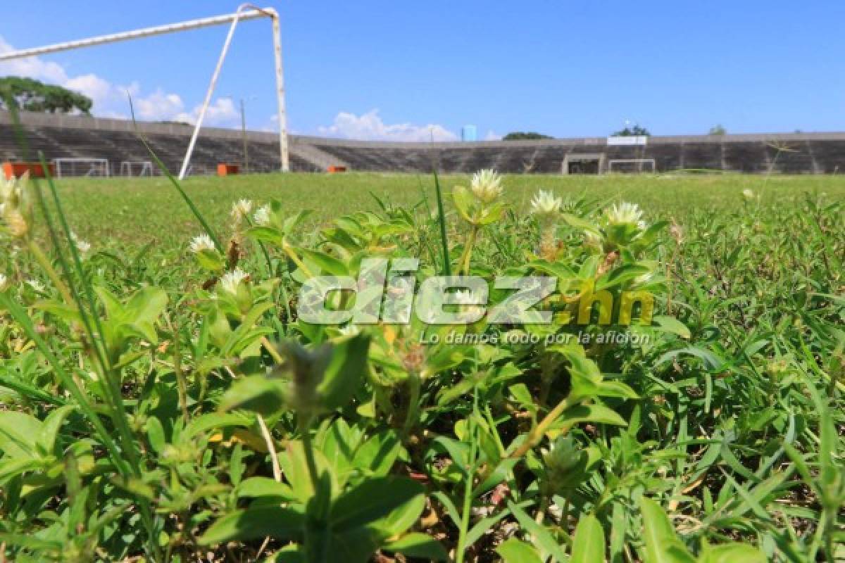 FOTOS: El triste abandono del que pudo ser el estadio más bonito de Honduras